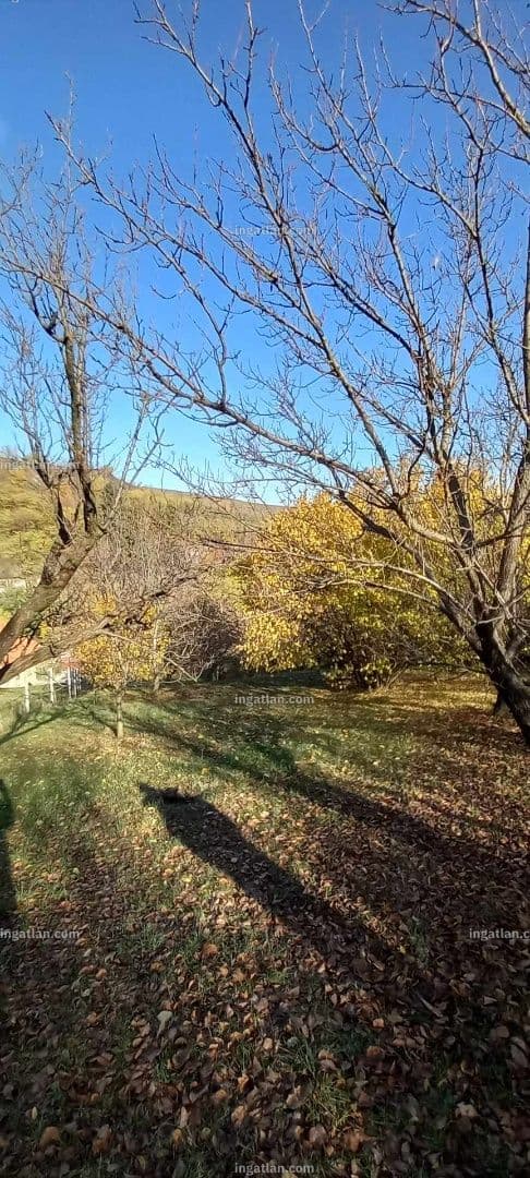Zöldövezeti építési telek Gyükésben 4